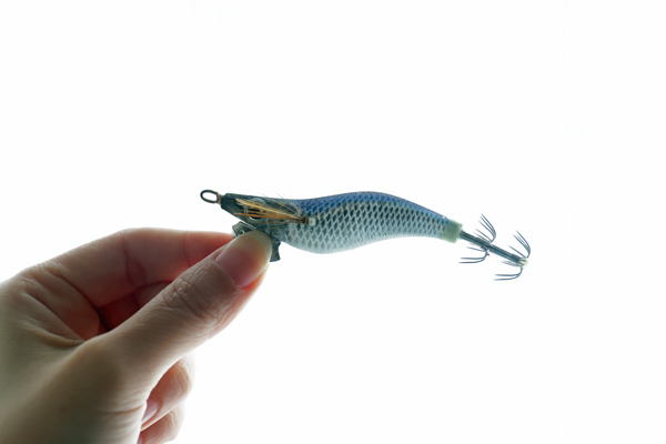 秋のスレイカ エギ王live