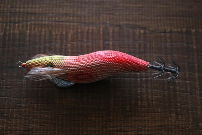 エギングは回遊待ちが正解？居つきを狙うことで釣果が伸びます