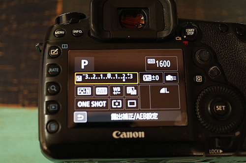 逆光｜写真テクニックガイド