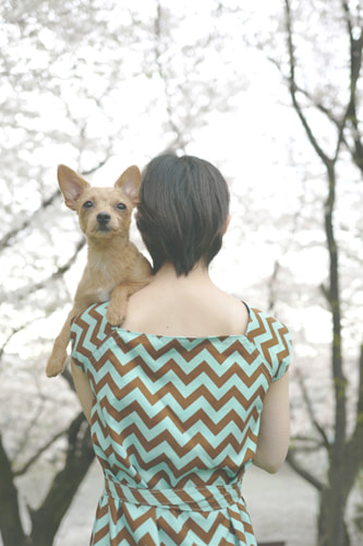 LeicaQ typ116 Summilux28mm F1.7 ASPH｜作例｜レビュー｜桜