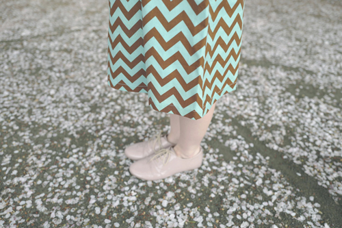 LeicaQ typ116 Summilux28mm F1.7 ASPH｜作例｜レビュー｜女性と犬