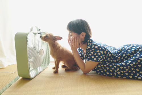 LeicaQ typ116 Summilux28mm F1.7 ASPH｜作例｜レビュー｜女性と犬