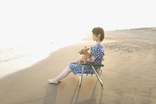 LeicaQ typ116 Summilux28mm F1.7 ASPH｜作例｜レビュー｜湘南の夕日