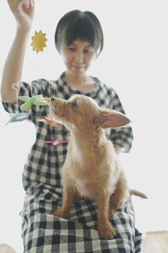 LeicaQ typ116 Summilux28mm F1.7 ASPH｜作例｜レビュー｜モビール