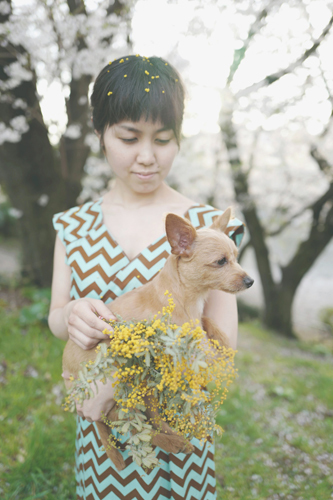 LeicaQ typ116 Summilux28mm F1.7 ASPH｜作例｜レビュー｜ミモザと桜