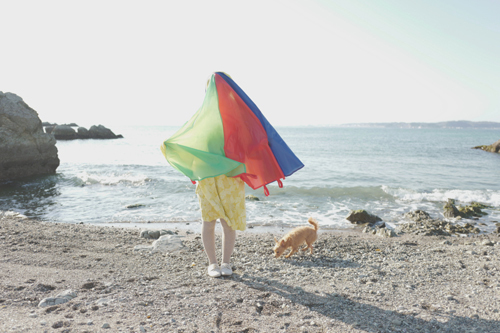 LeicaQ typ116 Summilux28mm F1.7 ASPH｜作例｜レビュー