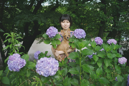 LeicaQ typ116 Summilux28mm F1.7 ASPH｜作例｜レビュー｜紫陽花