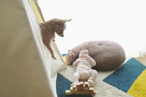 LeicaQ typ116 Summilux28mm F1.7 ASPH｜作例｜犬と赤ちゃん