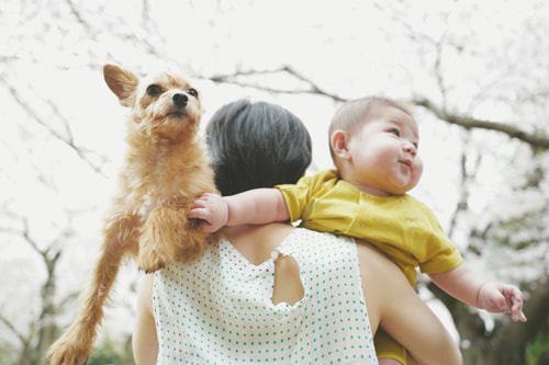 LeicaQ typ116 Summilux28mm F1.7 ASPH｜作例｜冬の森