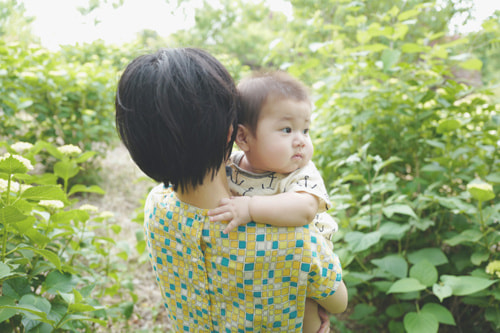紫陽花のおしゃれな撮り方｜背景に紫陽花