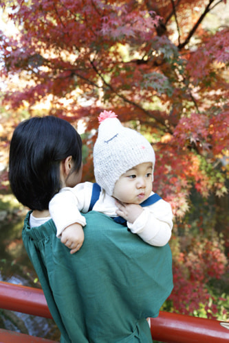 紅葉の撮り方｜初心者でも美しく撮れる基本テクニック｜背景に紅葉