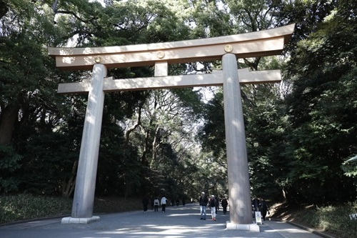 明治神宮の写真スポット｜美しく撮れるおすすめ撮影ポイント｜鳥居