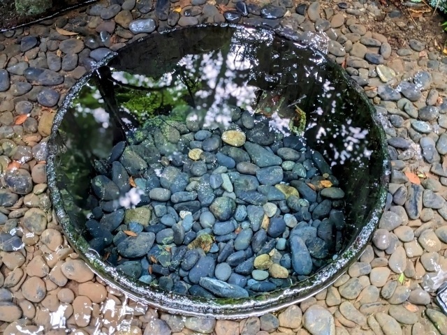 明治神宮の写真スポット｜美しく撮れるおすすめ撮影ポイント｜明治神宮御苑