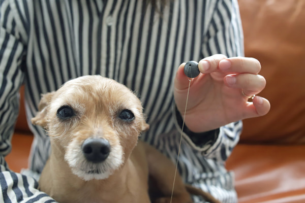 ライトゲーム、ちょい投げ