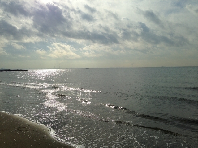 幕張海浜公園(浜田川河口、幕張の浜)